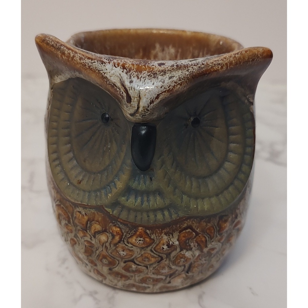 ScentSationals Wax Melt Warmer Hoot Owl Ceramic S12
